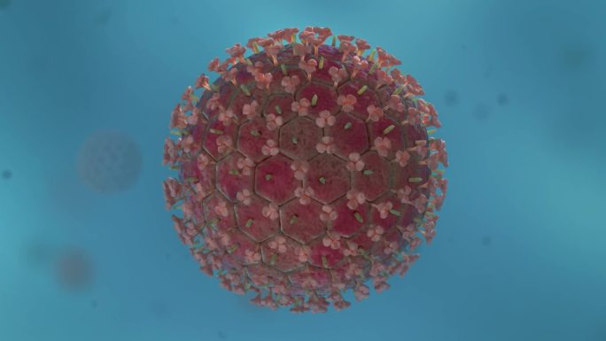 病毒细胞形态类型医学三维动画流感病毒
