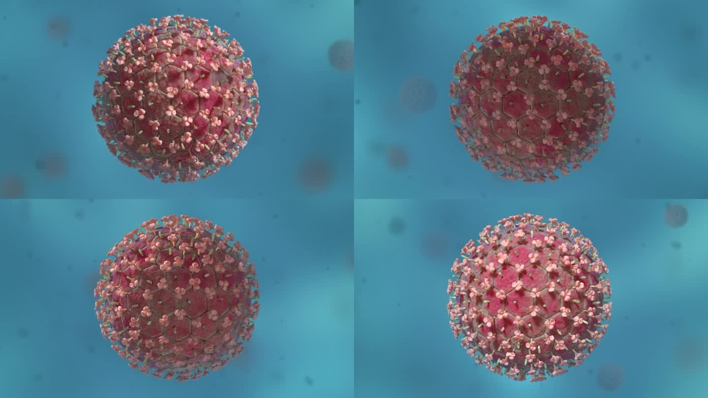 病毒细胞形态类型医学三维动画流感病毒
