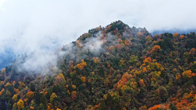 四川巴中光雾山云飞岭