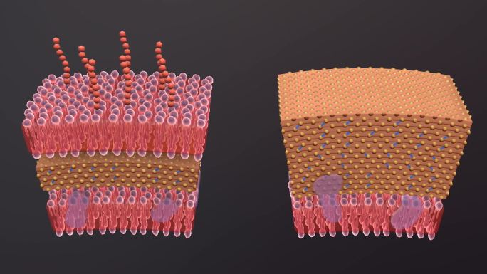 医疗病菌病毒细菌分子病原体生物三维动画