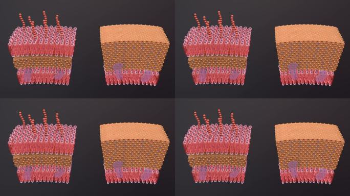 医疗病菌病毒细菌分子病原体生物三维动画