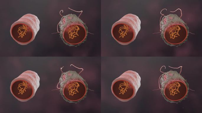 流感病毒病原体细菌微生物医学三维动画素材