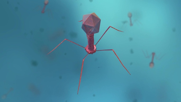 医学微生物病毒病菌细胞形态展示动画