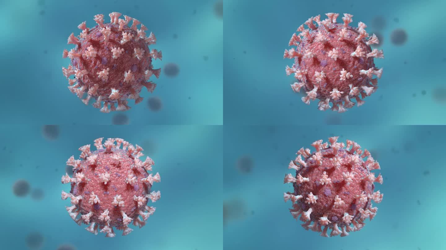 医学微生物新冠病毒病菌细胞形态展示动画