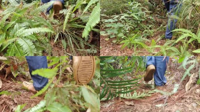 荒山野岭爬山走路深山野路走路脚步特写