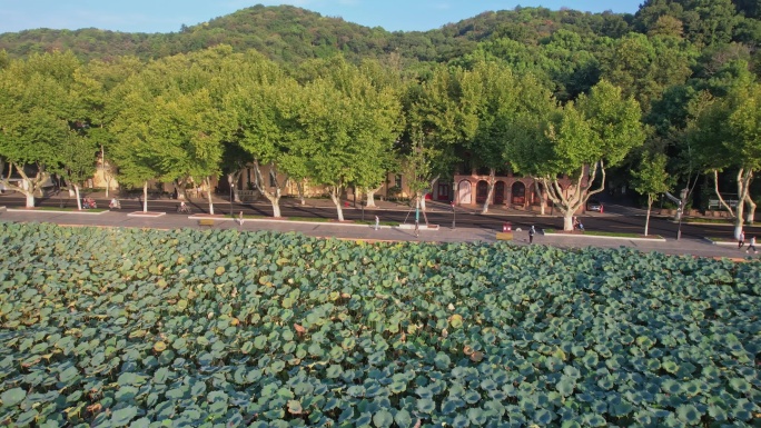 航拍杭州西湖北山路日出清晨