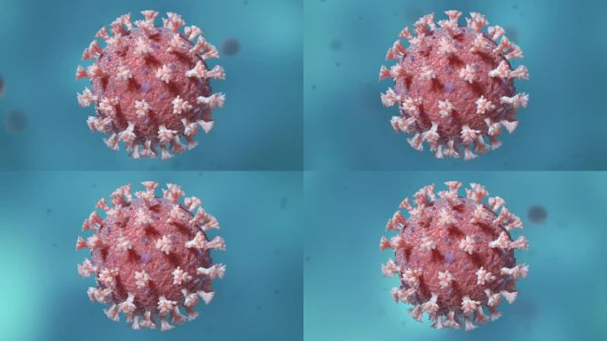 病毒细胞形态类型医学三维动画新冠病毒