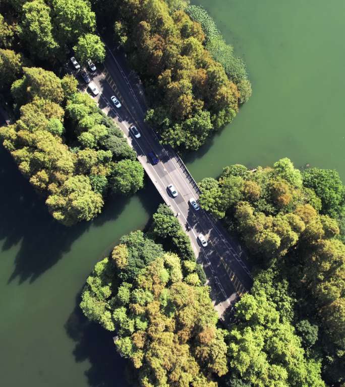 穿过湖泊和树木区的道路鸟瞰图