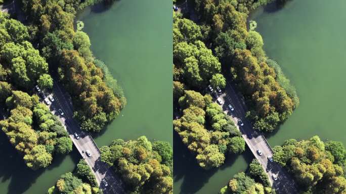 穿过湖泊和树木区的道路鸟瞰图