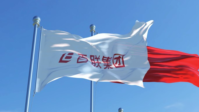 百联集团有限公司旗帜