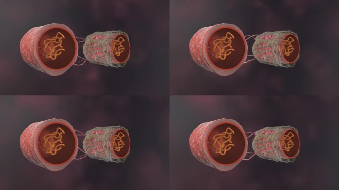 医学病原体病毒病原体病菌细菌微生物动画