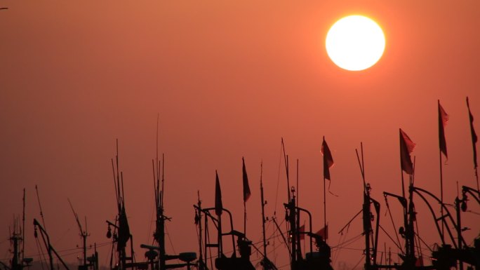 林立的渔船桅杆和太阳