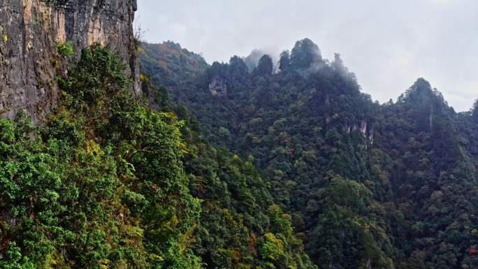 四川巴中光雾山云飞岭