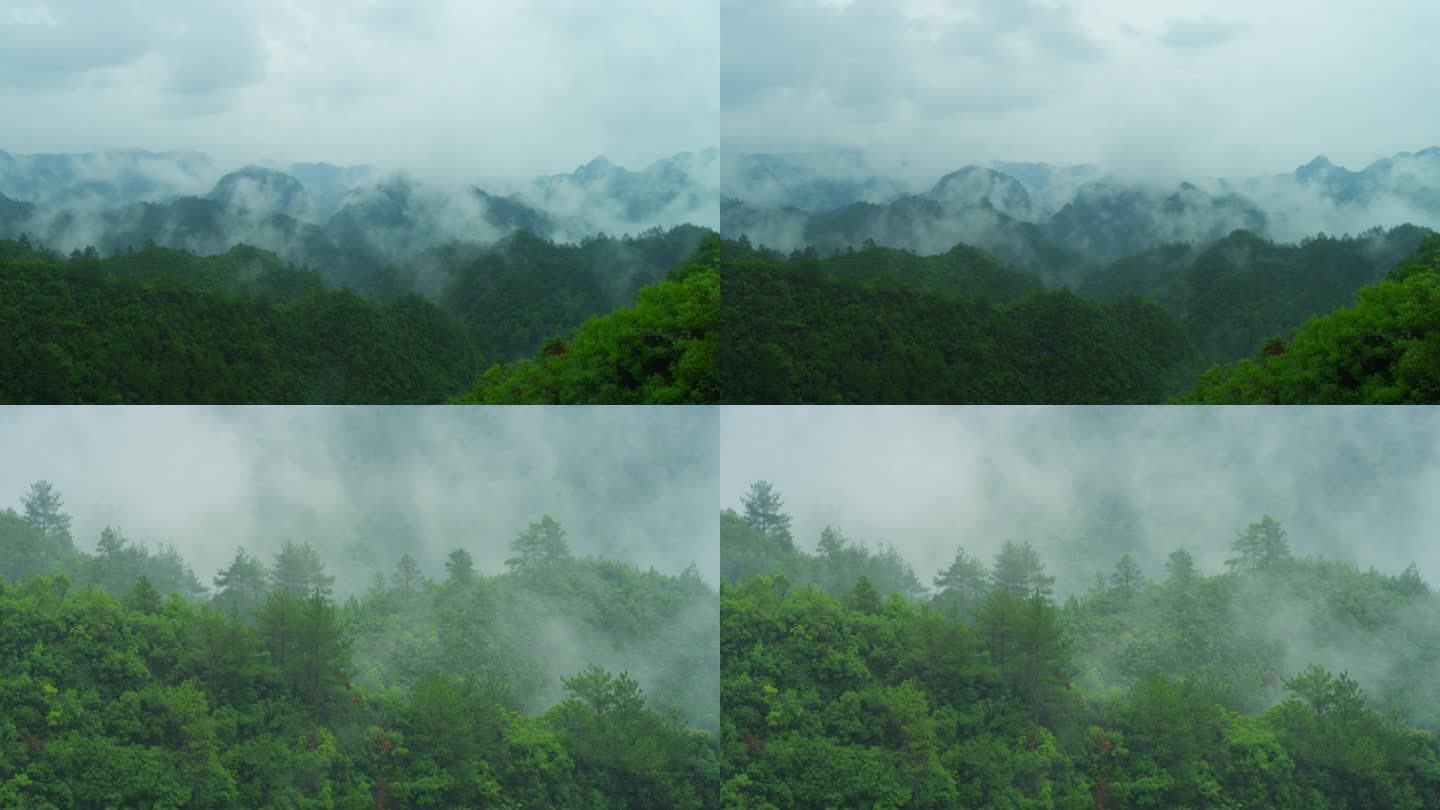 大山云雾下雨山雨潮湿气候