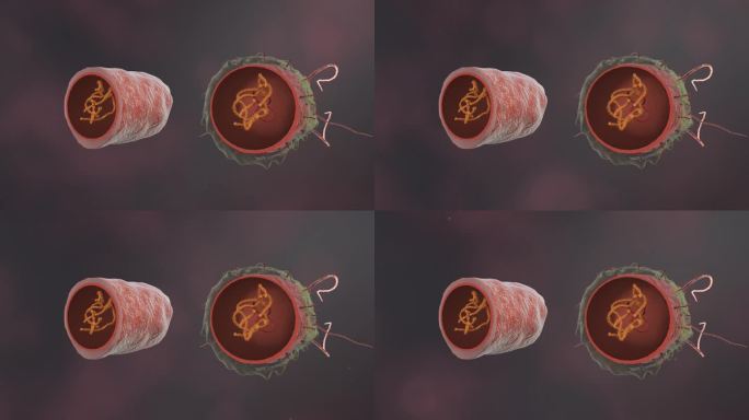 医疗病菌病毒细菌分子病原体生物三维动画