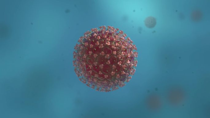 医学微新冠肺炎病毒病菌细胞形态展示动画