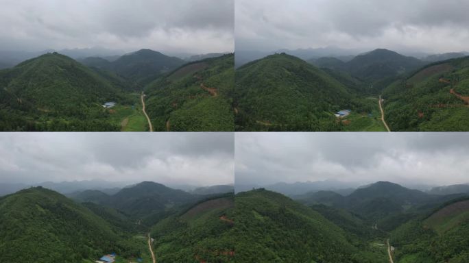 大山 大山深处 乡村 农村 桉树 航拍