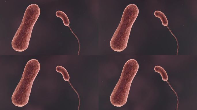 医学病原体病毒病原体病菌细菌微生物动画