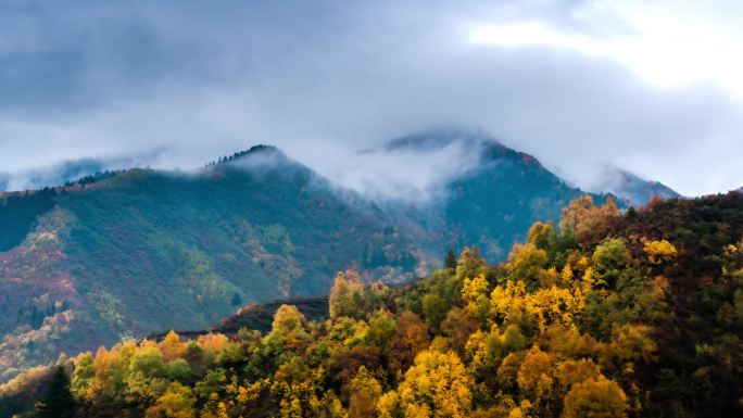 兴隆山云雾