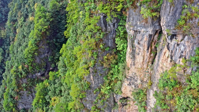 四川巴中光雾山云飞岭