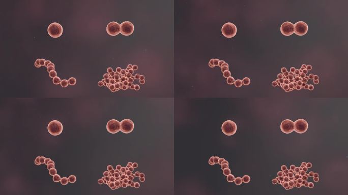 医学病原体病毒病原体病菌细菌微生物动画