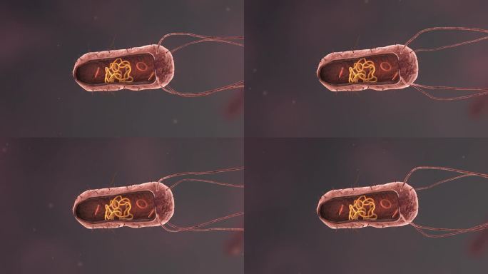 流感病毒病原体细菌微生物