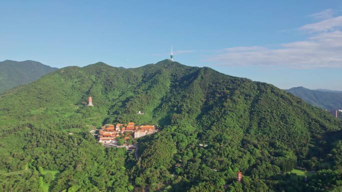 弘法寺 仙湖植物园