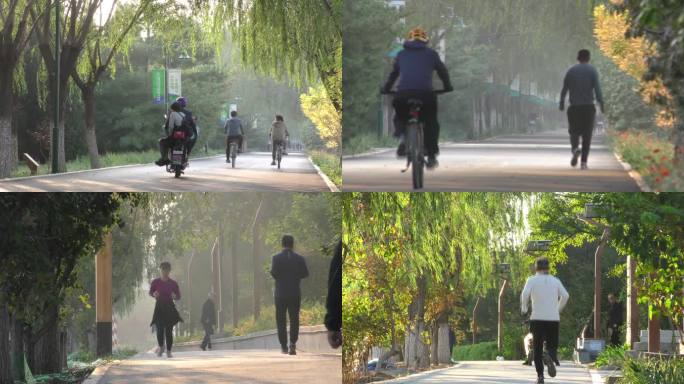 骑行锻炼生态城市退休生活早晨锻炼骑车公园