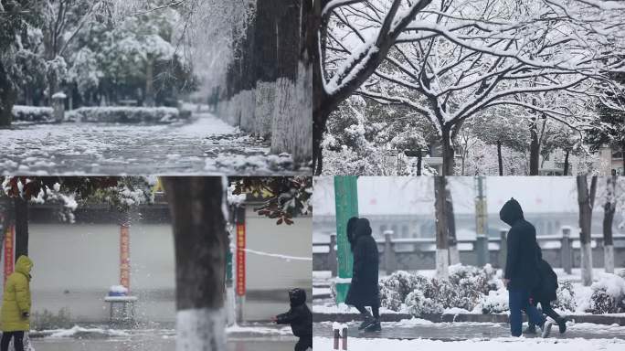 冬日氛围感树枝飘落 行人玩耍雪景素材合集