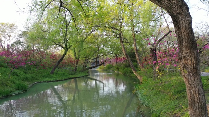 瘦西湖水面