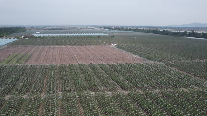 台州温岭滨海村庄航拍DJI_0950