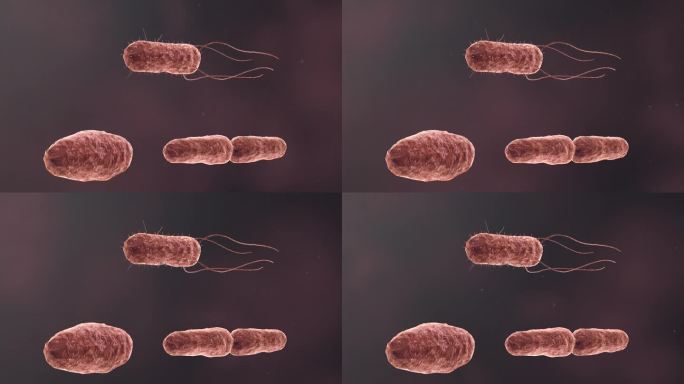 流感病毒病原体细菌微生物医学三维动画素材