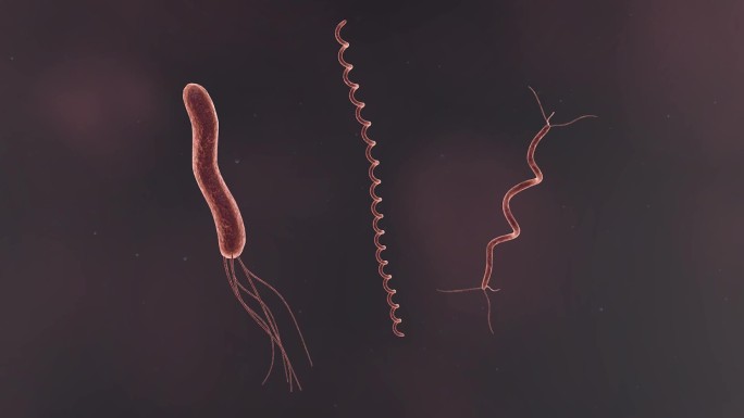 医学病原体病毒病原体病菌细菌微生物动画