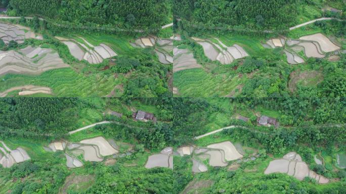 大山 大山深处 乡村 农村 梯田 航拍