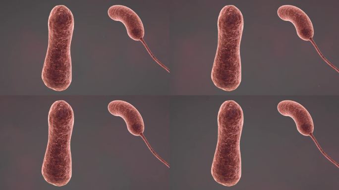 医学细菌流行传染病毒全息医学三维动画素材