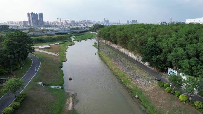 【正版素材】深圳茅洲河支流鹅颈水