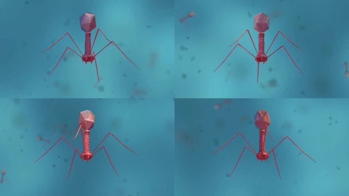 病毒细胞形态类型医学三维动画复杂病毒体形