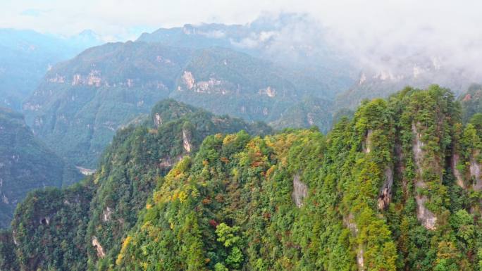 四川巴中光雾山云飞岭