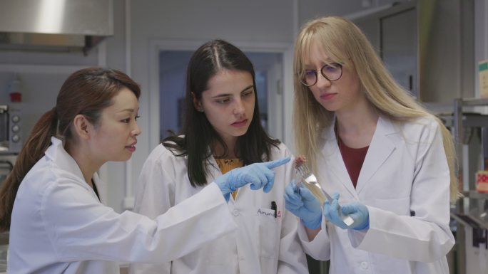 三位女性生物技术科学家在实验室厨房烹饪和测试养殖肉制品