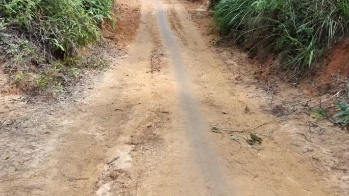 深山泥泞道绕山道山间小路山林绿树叶光影