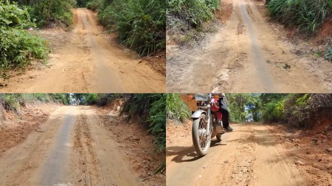 深山泥泞道绕山道山间小路山林绿树叶光影