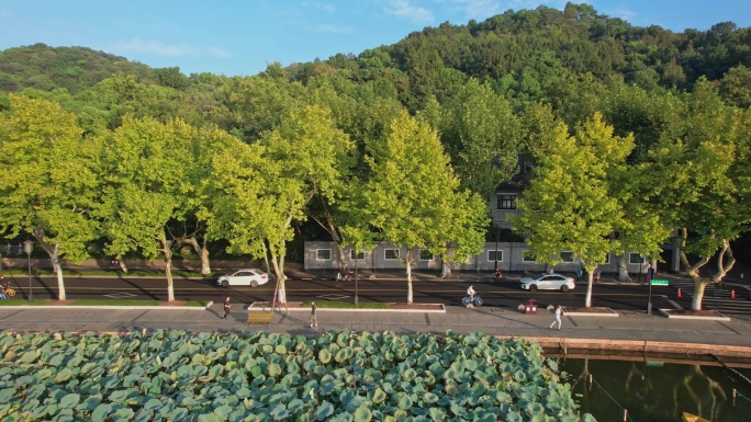 航拍杭州西湖北山路日出清晨