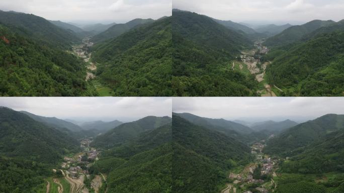 大山里大山深处乡村农村桉树航拍