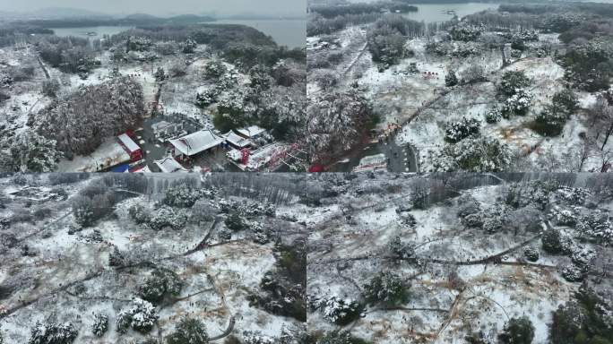 【御3拍摄】武汉东湖雪景梅园