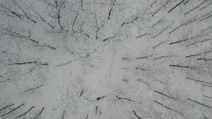 树林和城市雪景航拍唯美素材