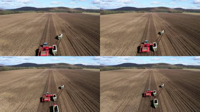 秋季收获新鲜土豆的拖拉机、卡车和农业机械鸟瞰图