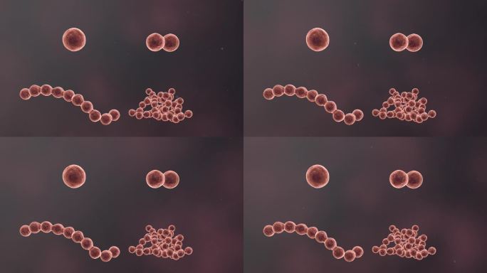 流感病毒病原体细菌微生物医学三维动画素材