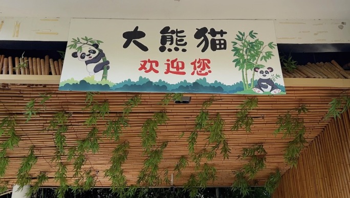4K原创 动物园大熊猫苑竹林和观众游客