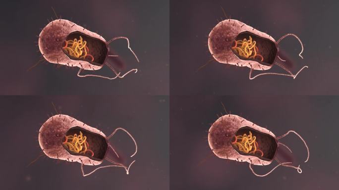 医疗病菌病毒细菌分子病原体