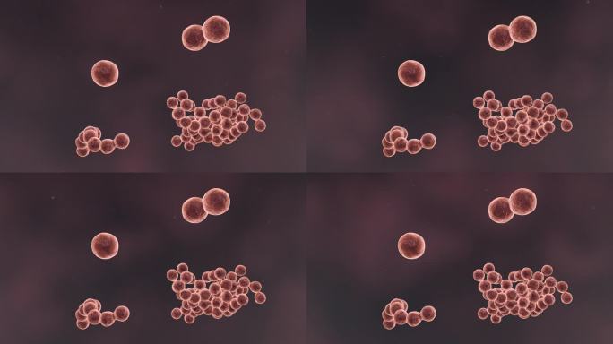 医疗病菌病毒细菌分子病原体生物三维动画